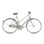 Gazelle Van Stael Dust Low Step